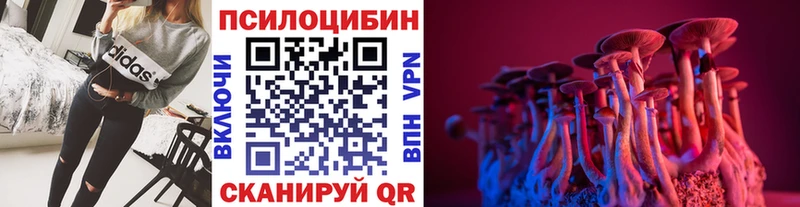 Купить где  Монино  Псилоцибиновые грибы Cubensis 